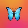 Profile photo of Chella